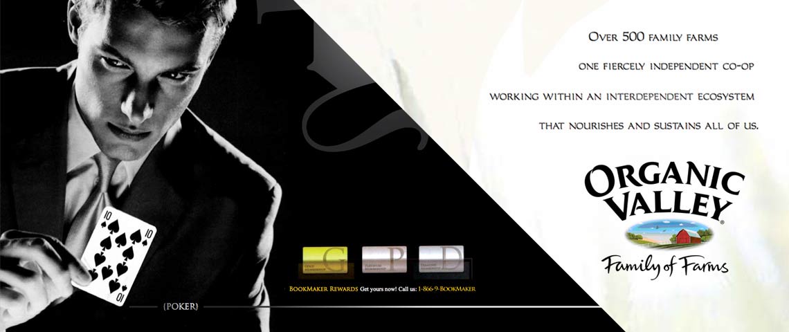- New Business Pitche -
