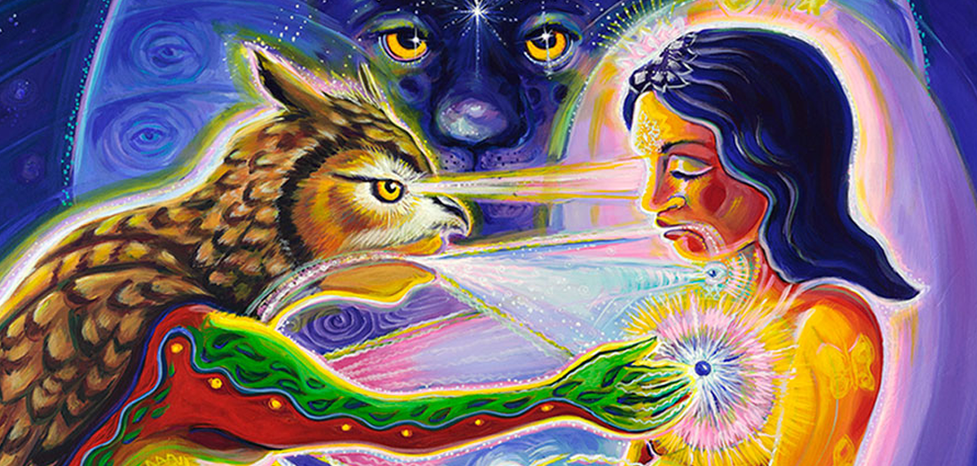 The Shamanic Healer